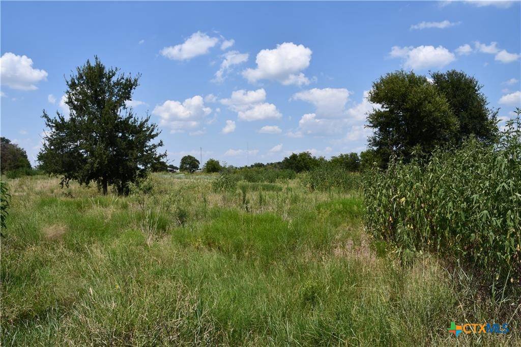 Mount Calm, TX 76673,Lot 5 HCR 3363