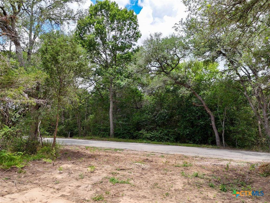 Dale, TX 78616,TBD Chamberlin RD