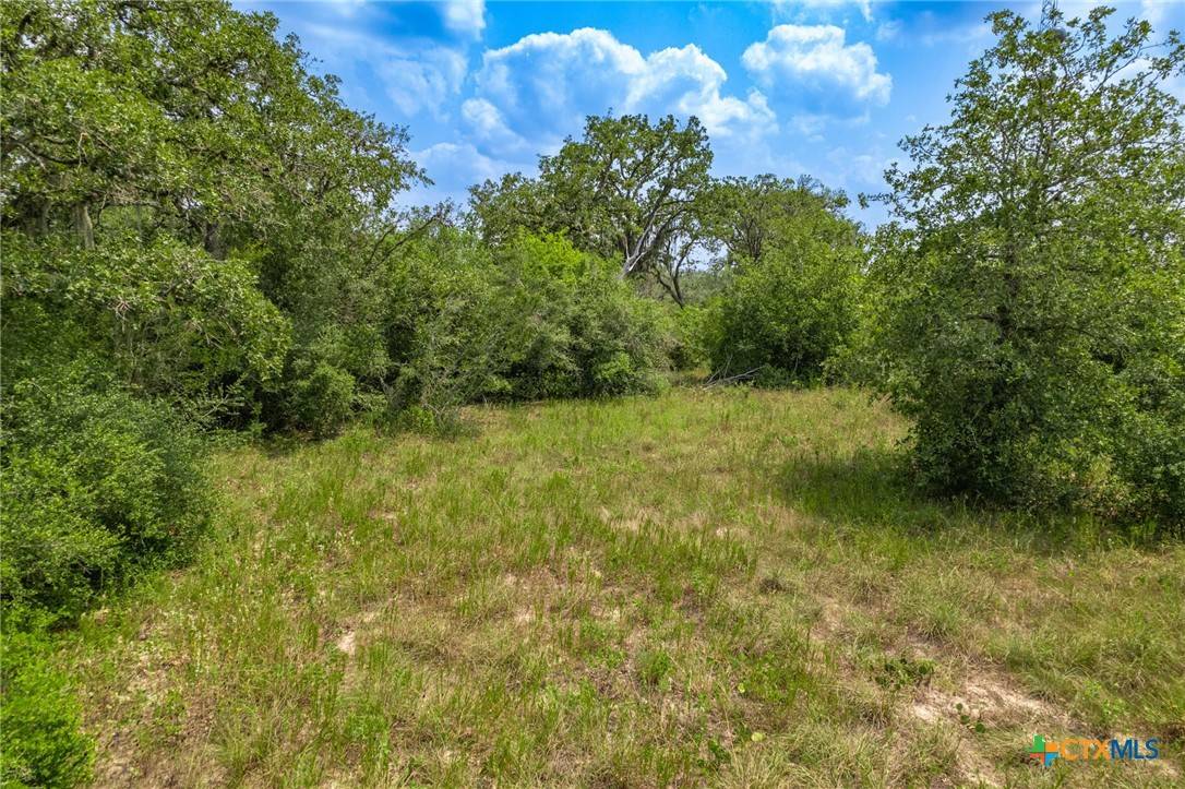 Goliad, TX 77963,76 Leisure LN