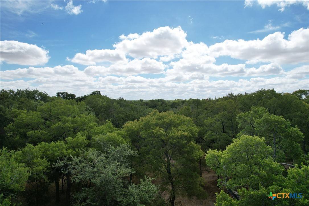 Holland, TX 76534,TBD Rosanky Rd, Tract 5