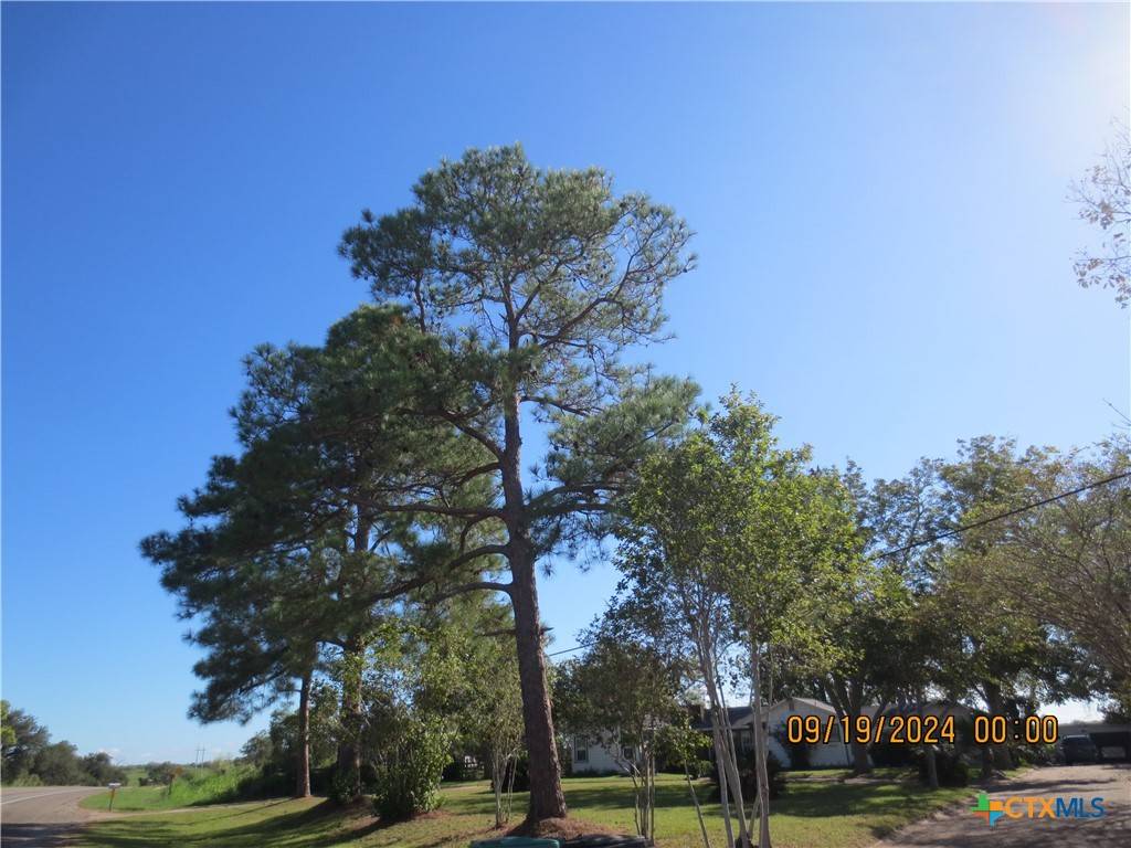 Victoria, TX 77905,1124 Refugio HWY