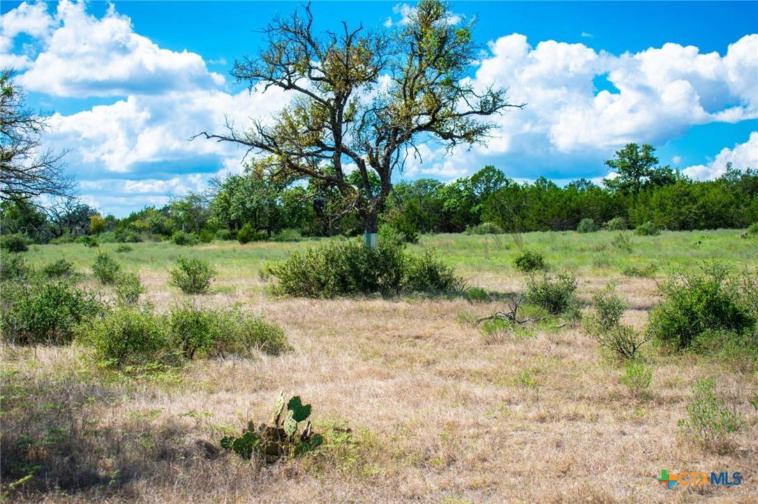 Kempner, TX 76539,Lot 80 Private Road 4718