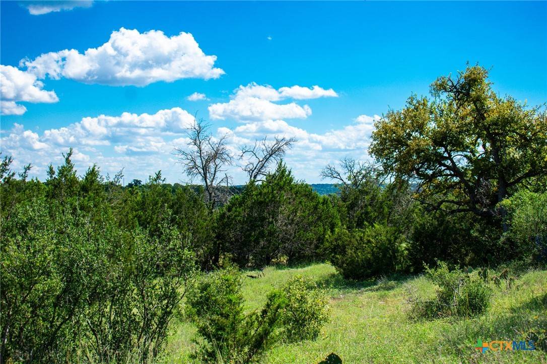 Kempner, TX 76539,Lot 80 Private Road 4718