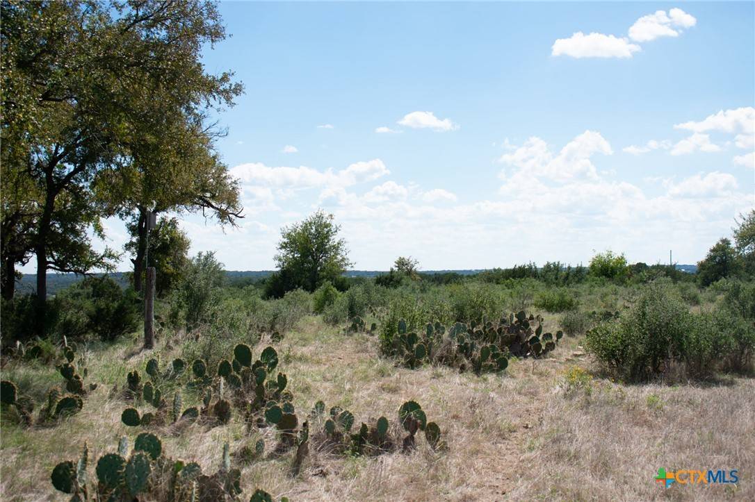 Kempner, TX 76539,Lot 80 Private Road 4718