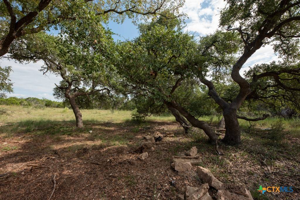 Fischer, TX 78623,865 Rutherford
