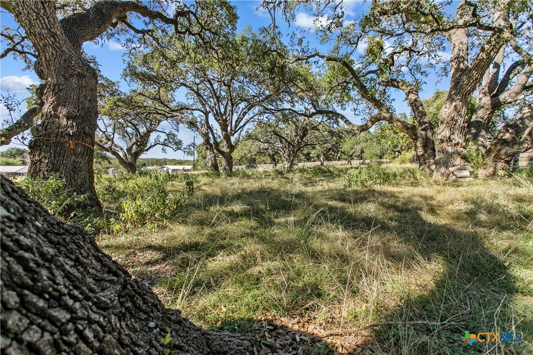 Blanco, TX 78606,1410 Greenlawn Pkwy