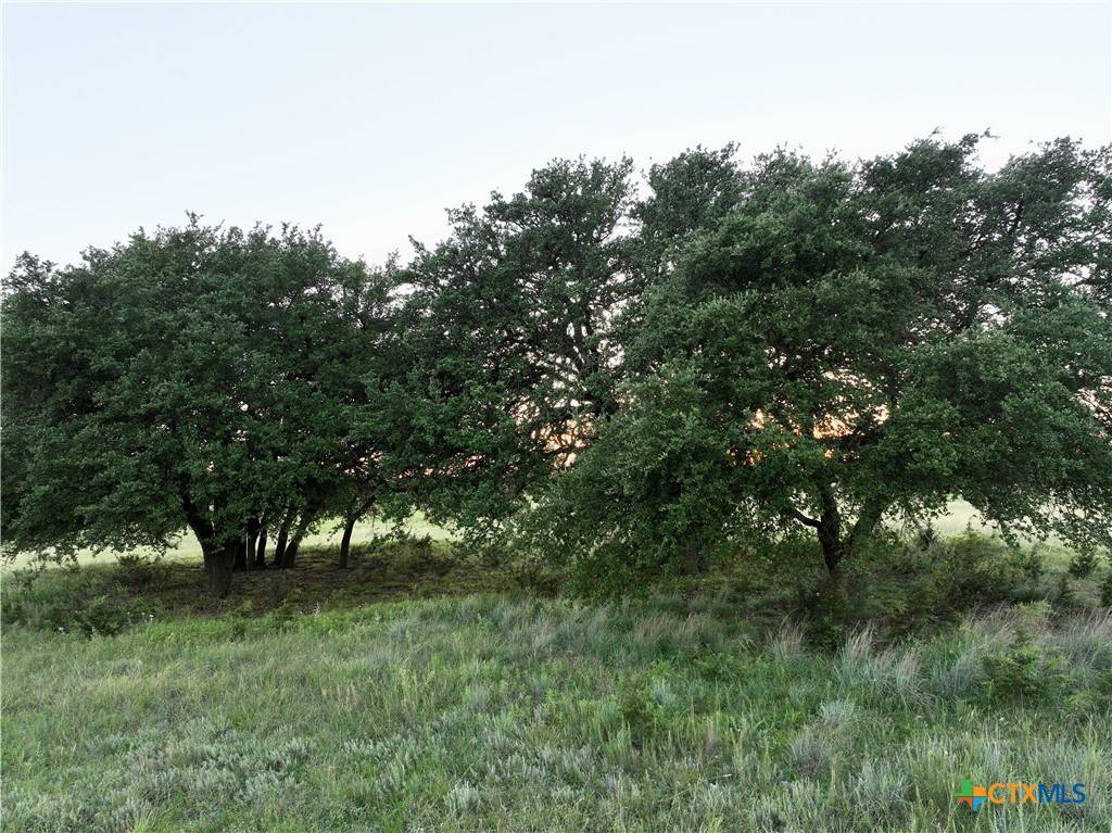 Lampasas, TX 76550,Lot 2 N County Road 2227