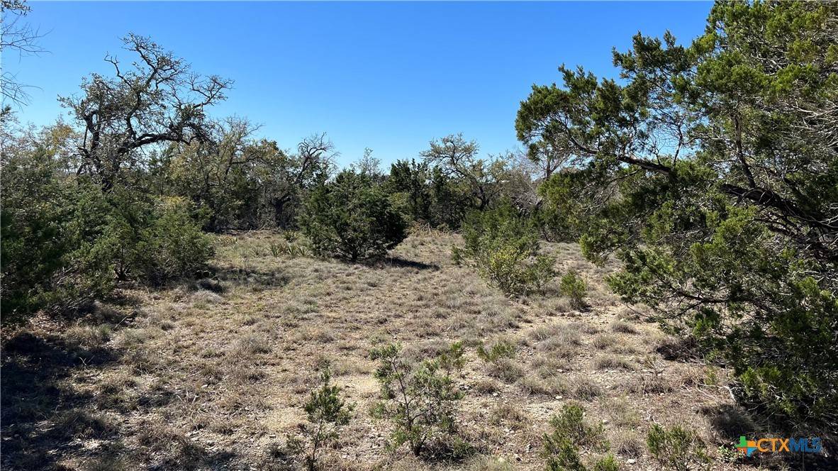 Canyon Lake, TX 78133,562 Prairie Tea LN