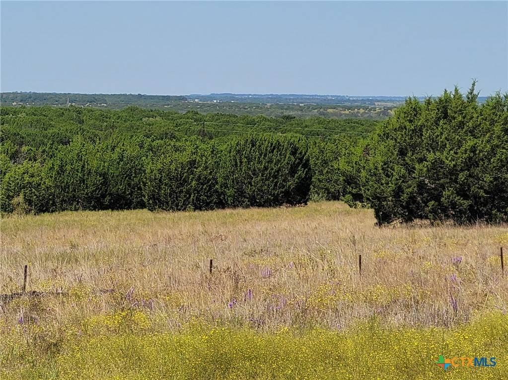 Lampasas, TX 76550,119 Longview DR