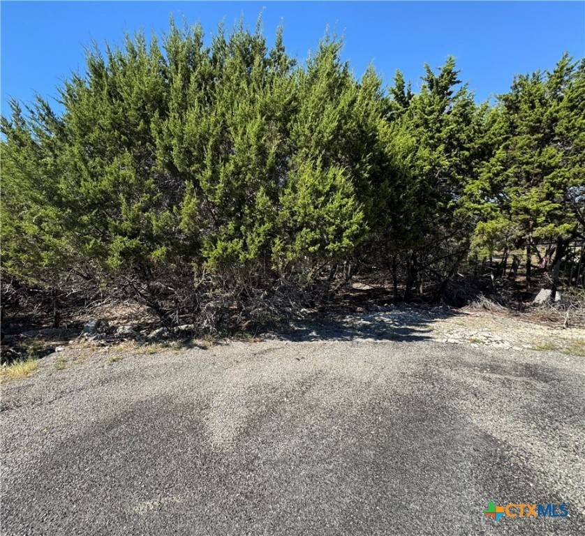 Temple, TX 76502,5536 Angelina CT