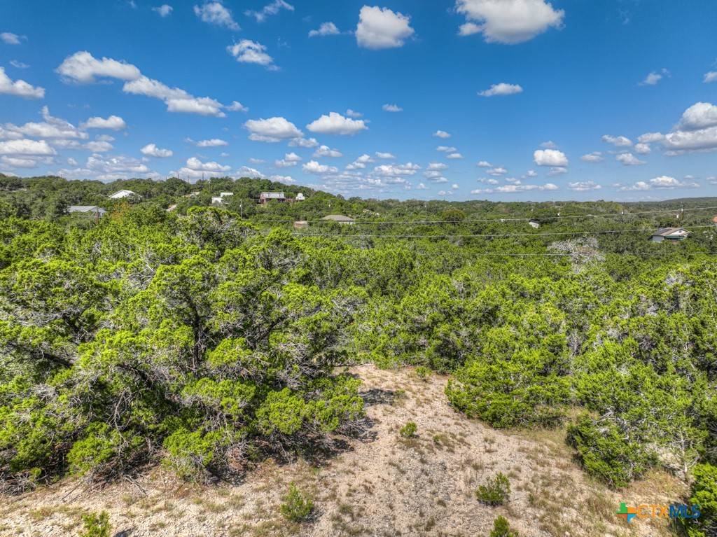 Spring Branch, TX 78070,210 Indian TRL