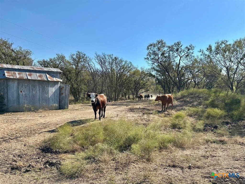Marble Falls, TX 78654,TRACT 19 & 20 COUNTY ROAD 120