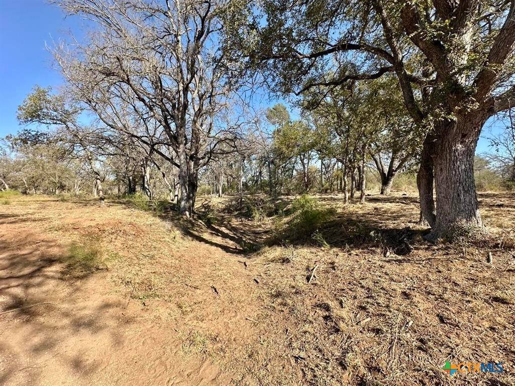 Marble Falls, TX 78654,TRACT 19 & 20 COUNTY ROAD 120