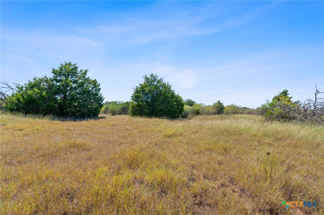 Dale, TX 78616,Lot 2 Tumbleweed TRL