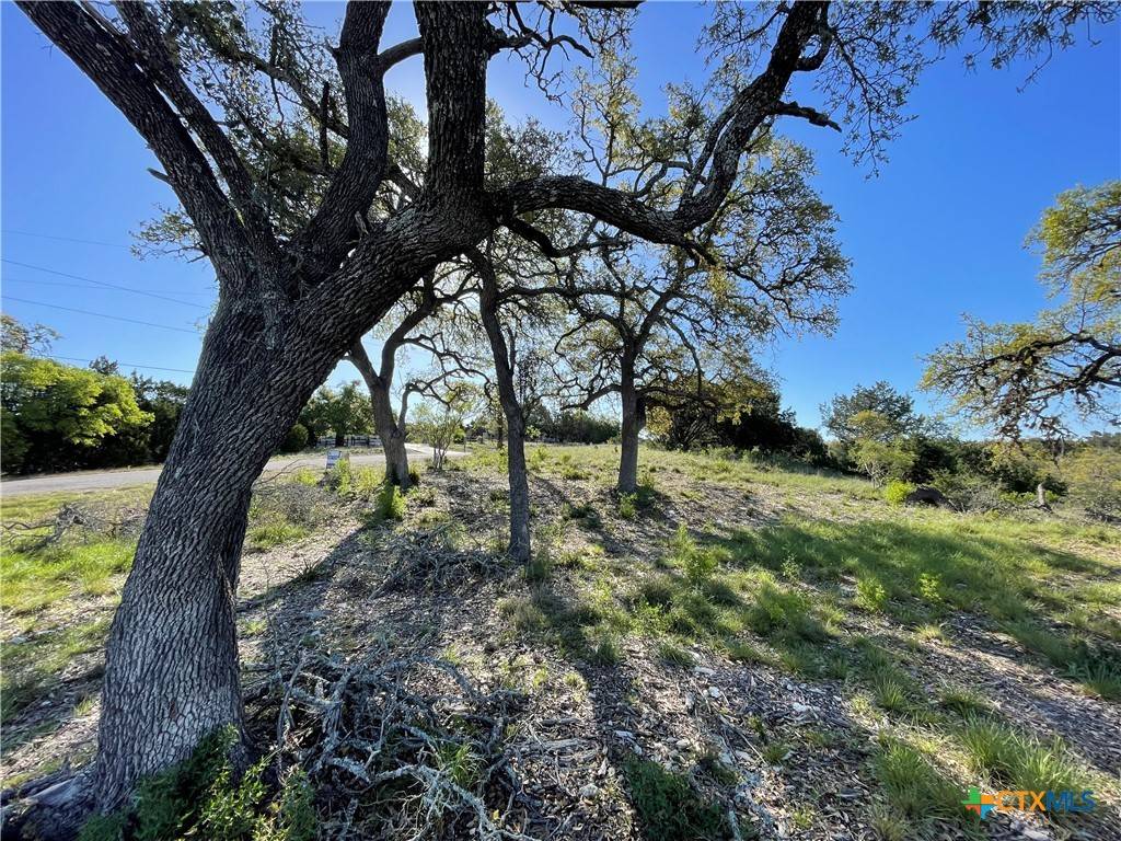 Fischer, TX 78623,838 Rutherford
