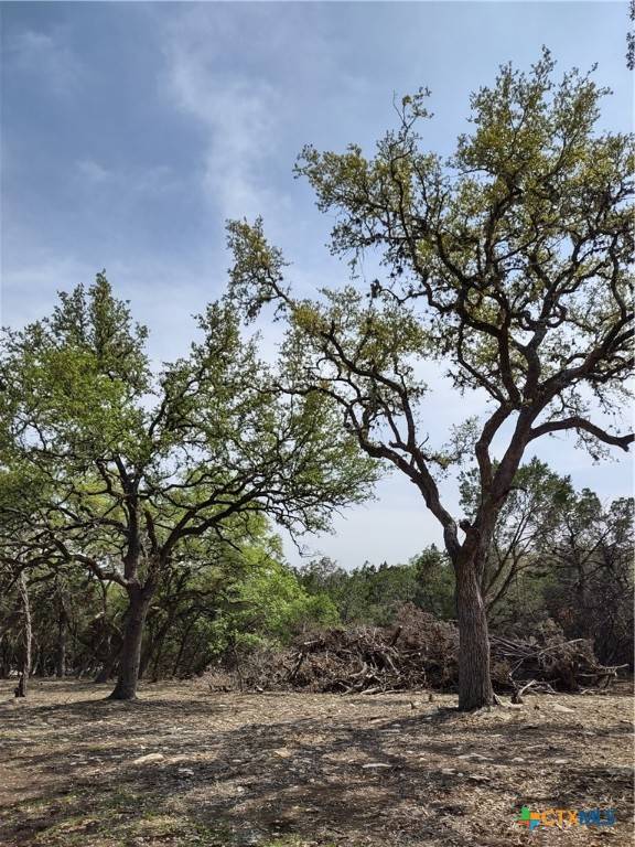 Canyon Lake, TX 78132,549 Cannan RD