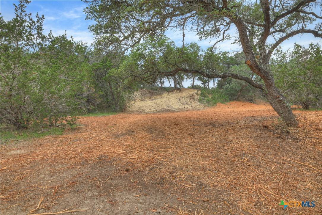 Spring Branch, TX 78070,426 Coneflower DR