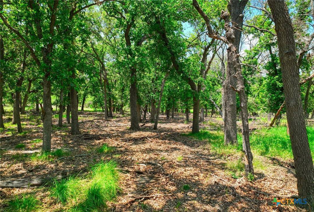 Goldthwaite, TX 76844,730 E Hwy 84