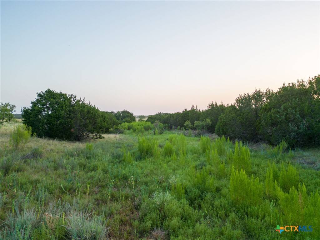 Lampasas, TX 76550,Lot 60 Shin Oak DR