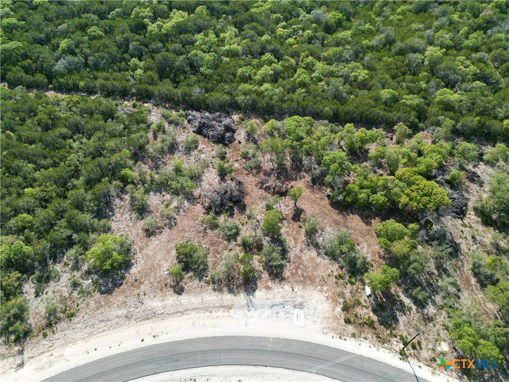 Bertram, TX 78605,Lot 28 Sawtooth DR