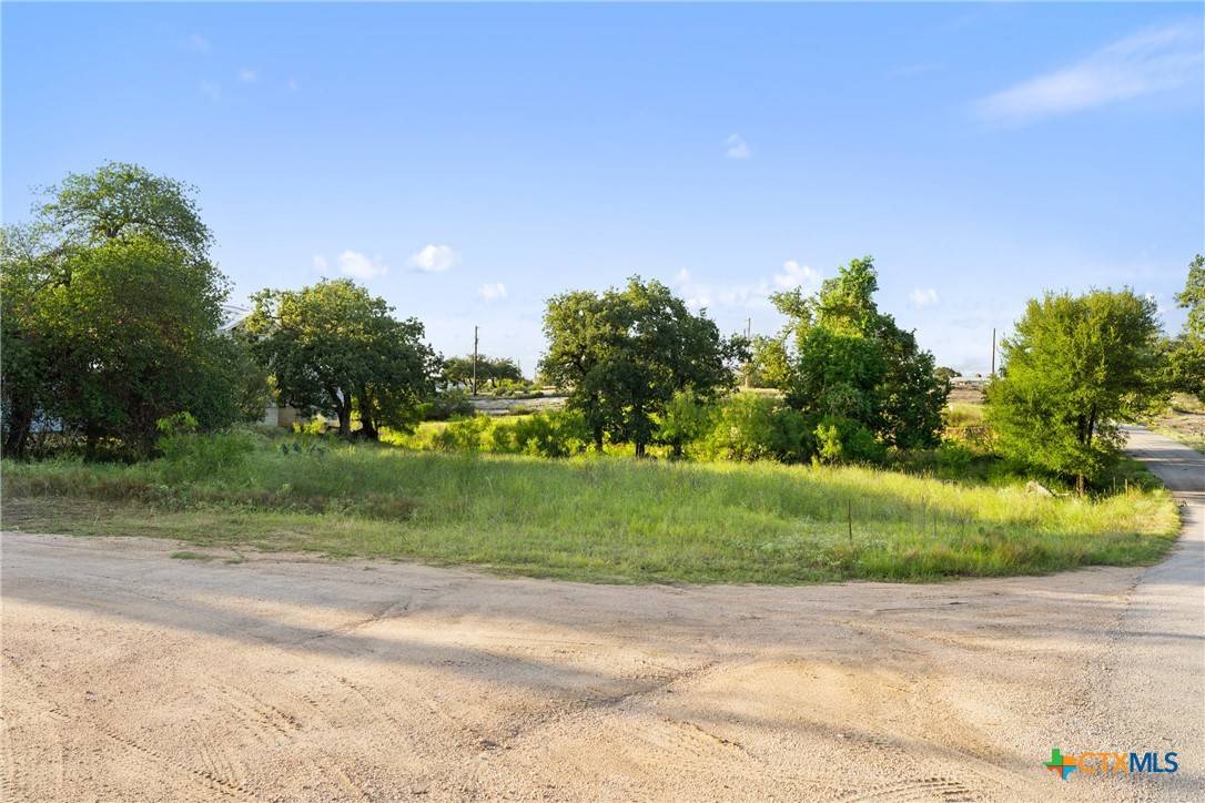 Marble Falls, TX 78654,302 Lake Downs DR