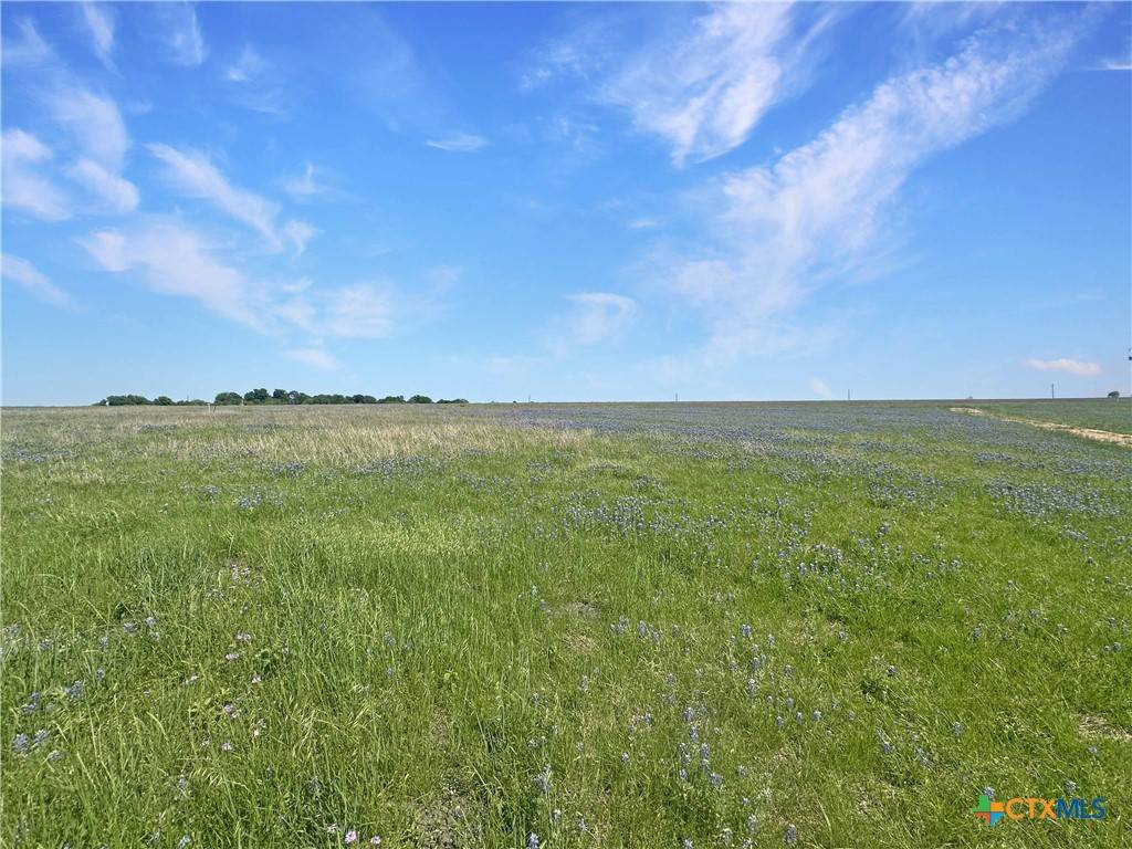 Schulenburg, TX 78956,2523 Roitsch RD