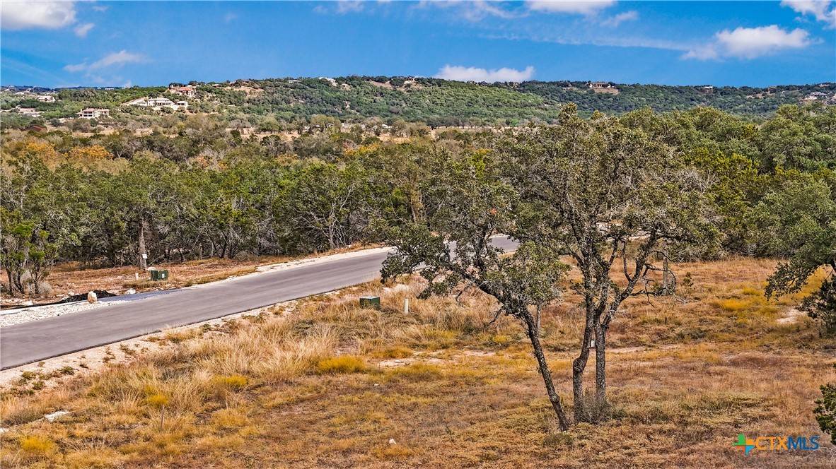 Canyon Lake, TX 78133,1949 Paradise Parkway