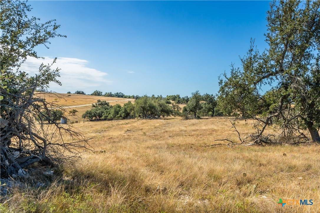 Fredericksburg, TX 78631,315 Junker Hill DR
