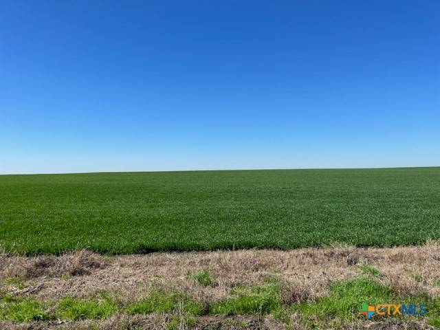 Rosebud, TX 76519,Tract 3 County Rd 355