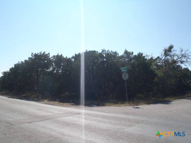 Spring Branch, TX 78070,1266 Highpoint Ln