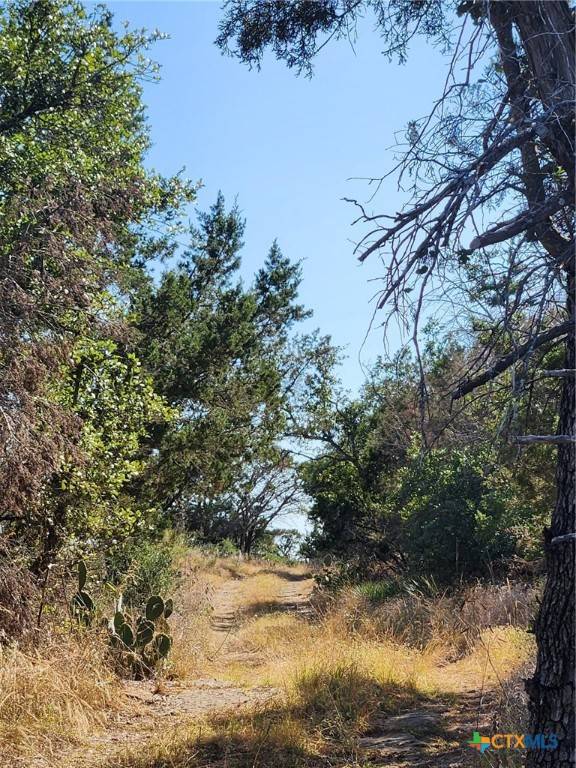 Burnet, TX 78611,TBD Stellar DR