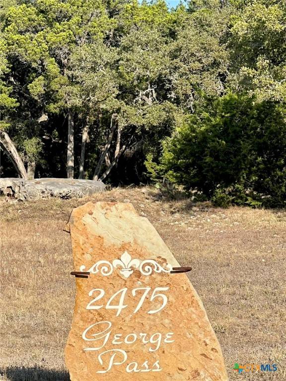 Canyon Lake, TX 78133,2475 George PASS