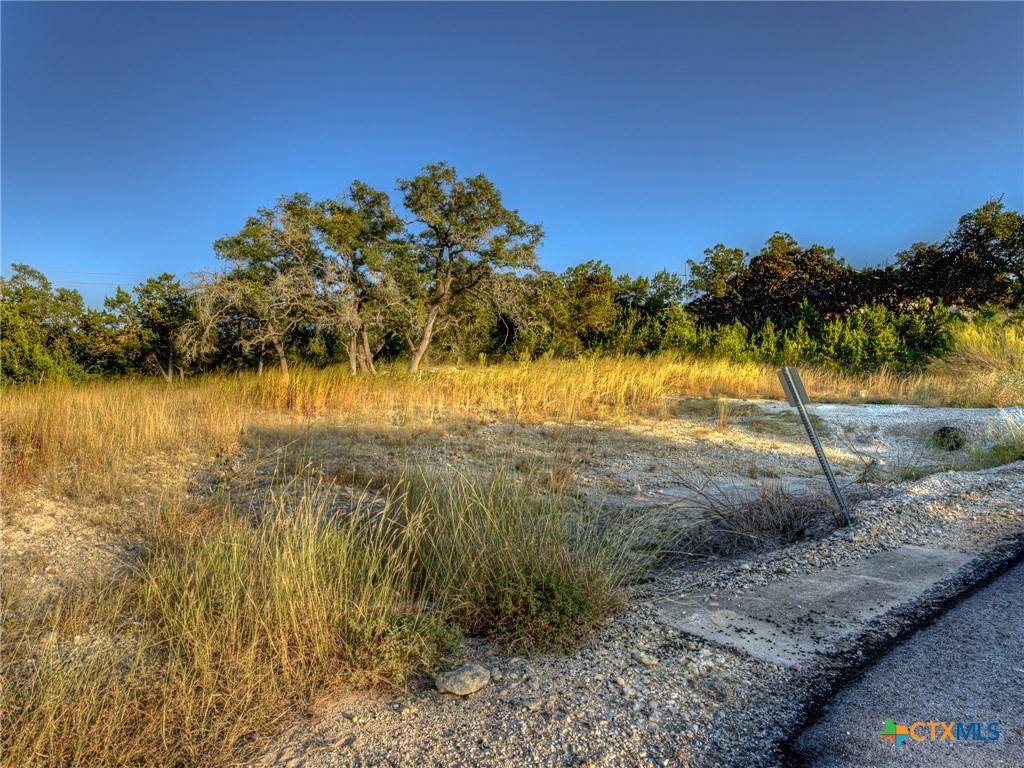 Canyon Lake, TX 78133,198 Sitting Bull TRL