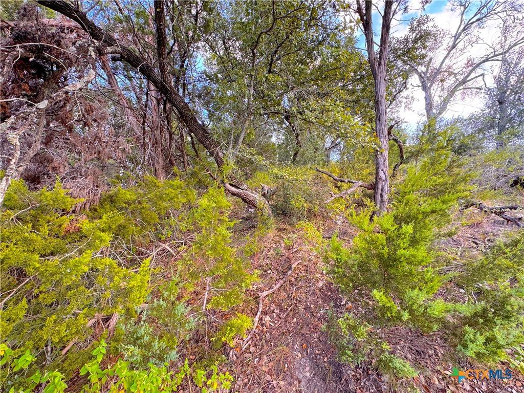 Canyon Lake, TX 78133,762 & 758 Firefly DR