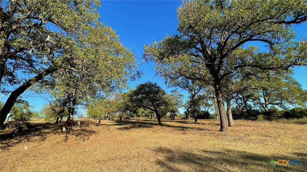 Franklin, TX 77856,9201 FM 2096 (+/- 44.13 acres)