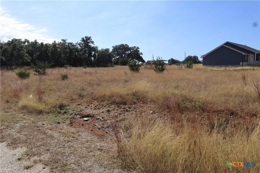 Blanco, TX 78606,Lot 985 David Gage