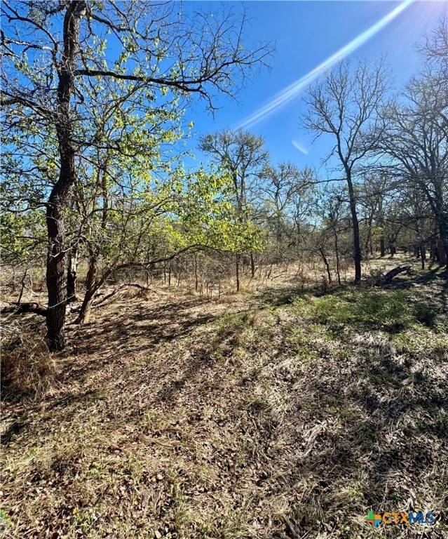Lockhart, TX 78644,140 Baylen Clifton LN