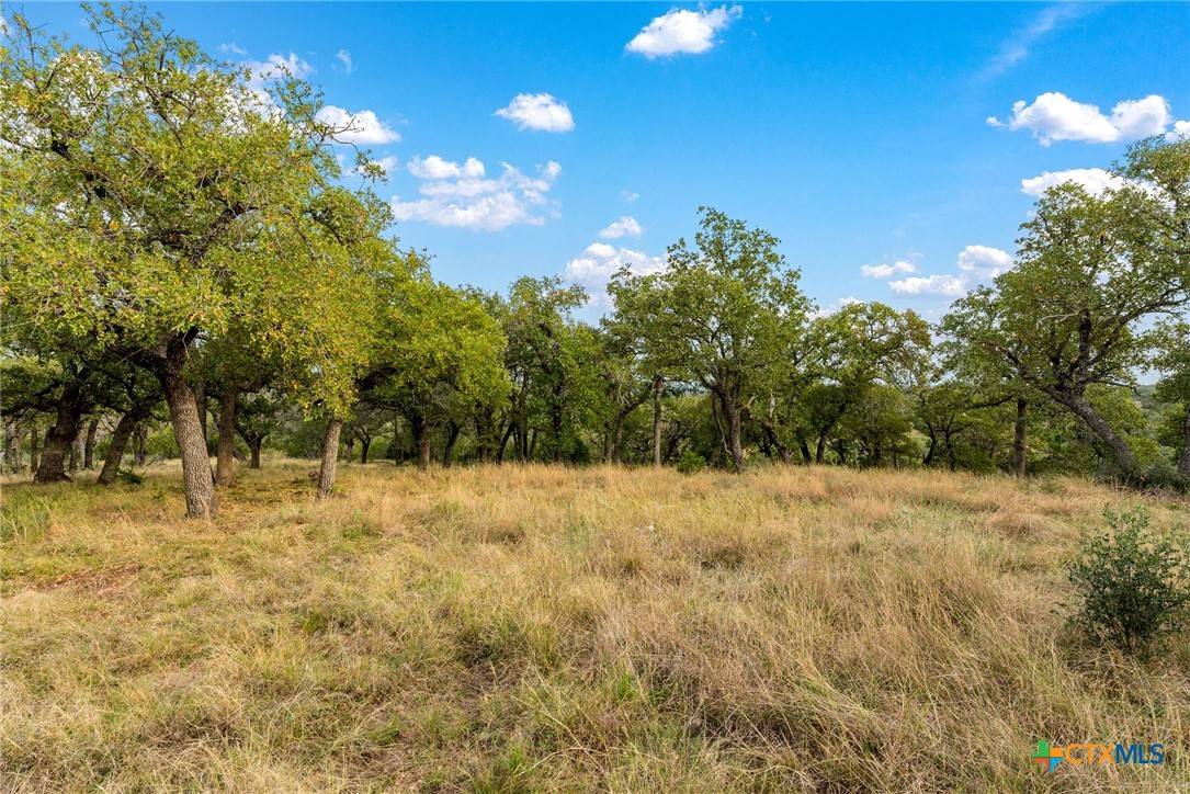 San Saba, TX 76877,Lot 95 W 95 E Rocky Hollow