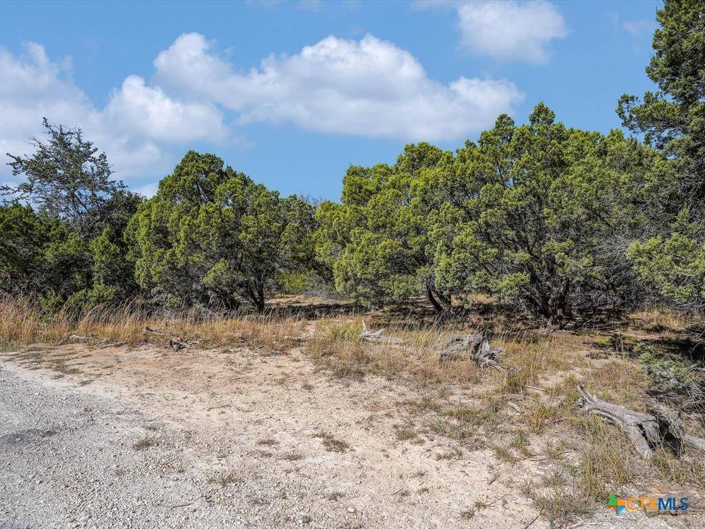 Wimberley, TX 78676,104 River Rapids LOOP