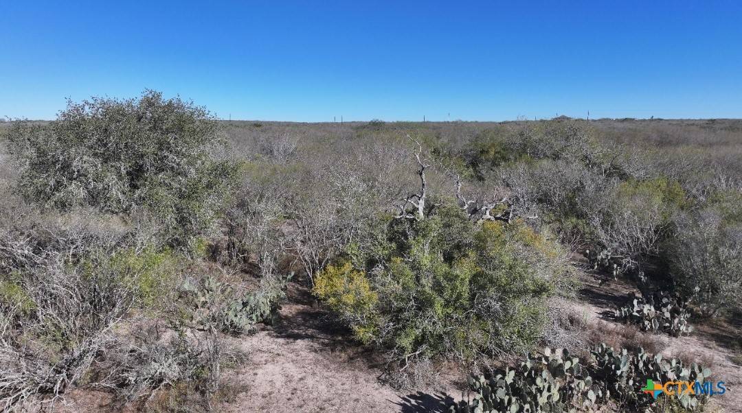 George West, TX 78022,163 Well Pad