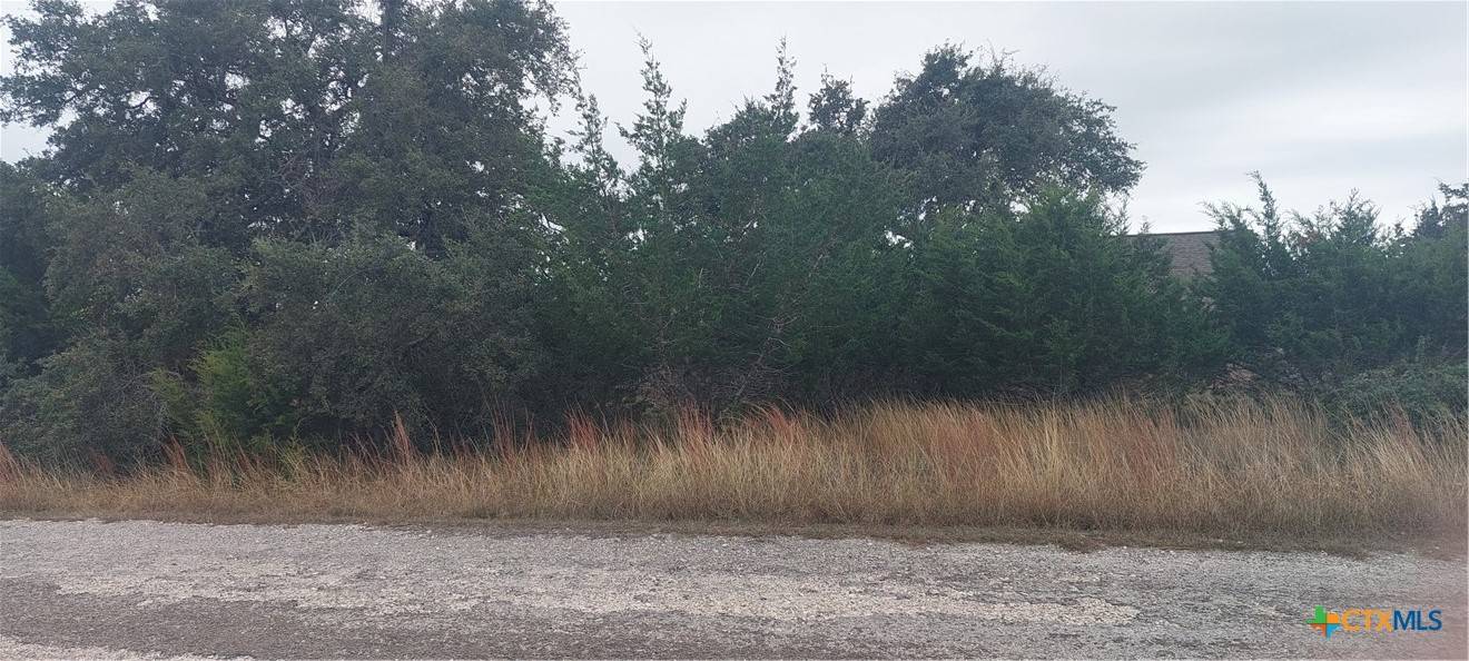 Blanco, TX 78606,106 Jacob Dearing