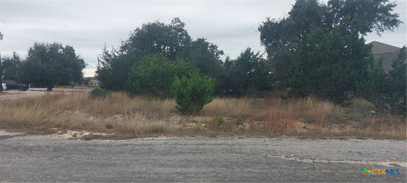 Blanco, TX 78606,106 Jacob Dearing