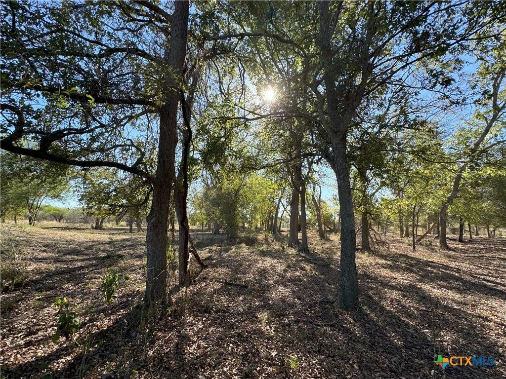 Seguin, TX 78155,TBD Old Seguin Luling RD