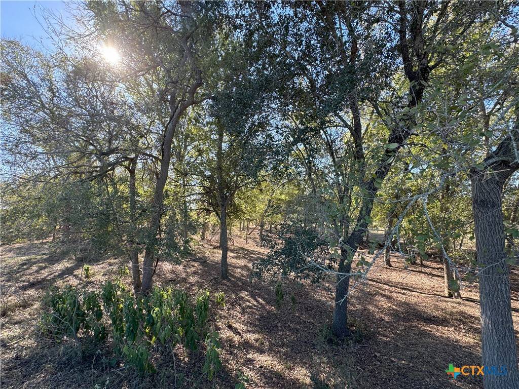 Seguin, TX 78155,TBD Old Seguin Luling RD