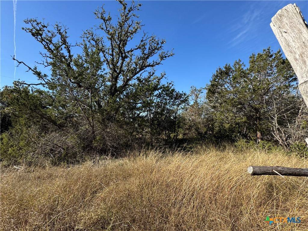 San Marcos, TX 78666,TBD Oakwood LOOP