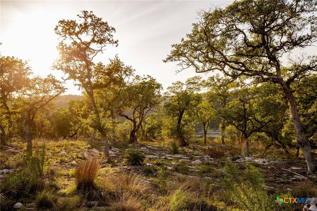 New Braunfels, TX 78132,1333 Powder Ridge RD