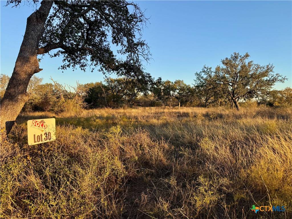 San Saba, TX 76877,Lot 30 Buck Run Rd.