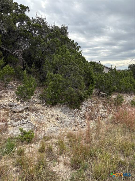Canyon Lake, TX 78133,2660 Rocky Ridge LOOP