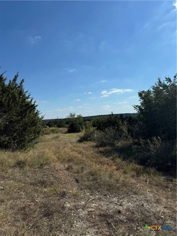 Belton, TX 76513,Lot 19 Bowles Ranch RD