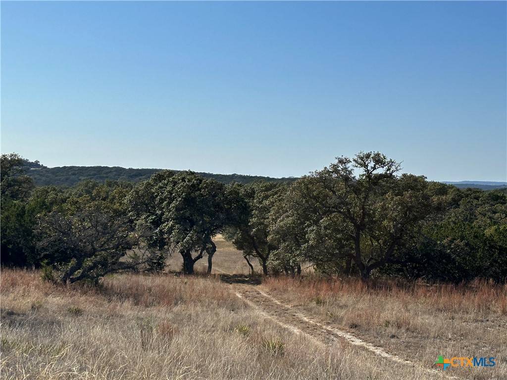 Lampasas, TX 76550,Lot 186 Blackbuck Ridge DR